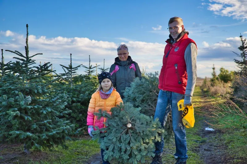 Familie mit frisch gesägtem Weihnachtsbaum auf der Plantage