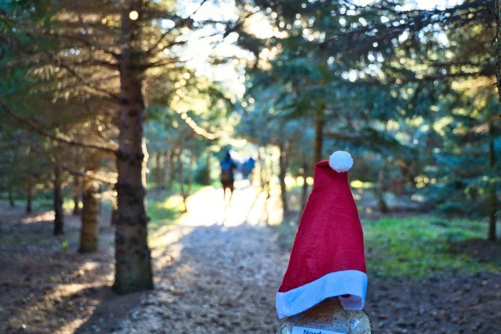 Weihnachtsmütze auf einem Weg zwischen den Tannen