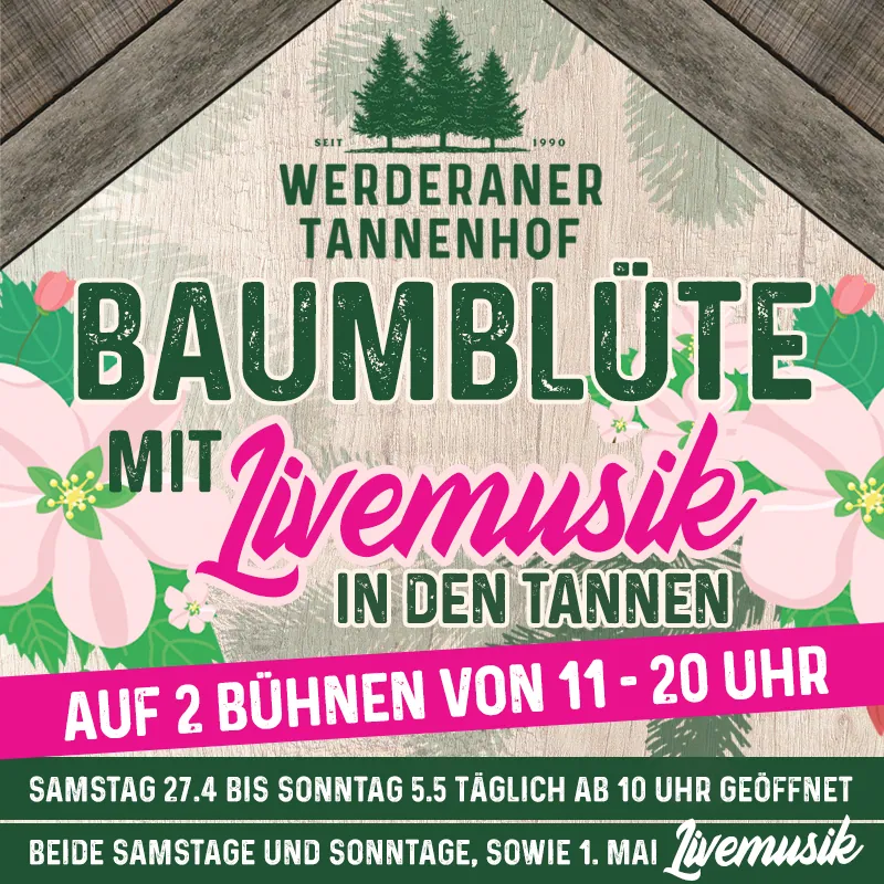 Baumbluete 2024