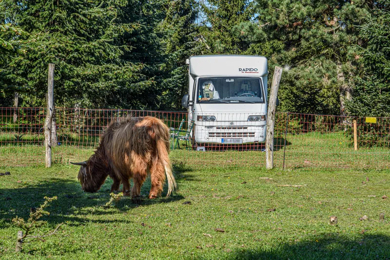 DSC_8593_Tannenhof_Wohnmobil