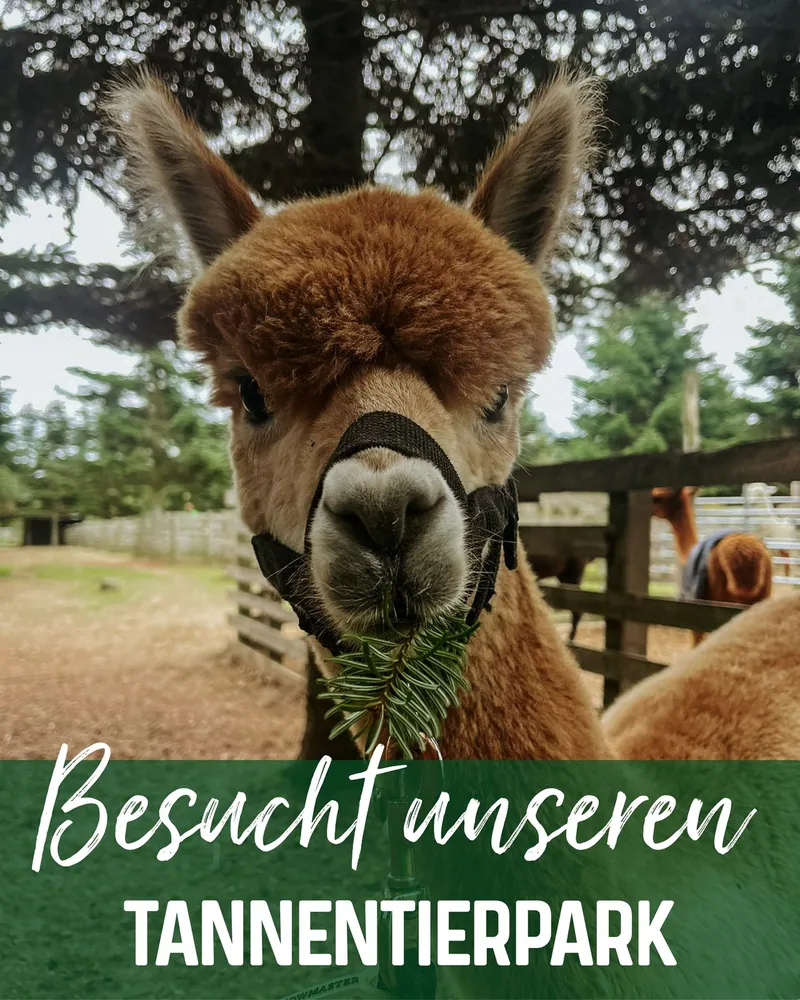 Besucht unseren Tannentierpark
