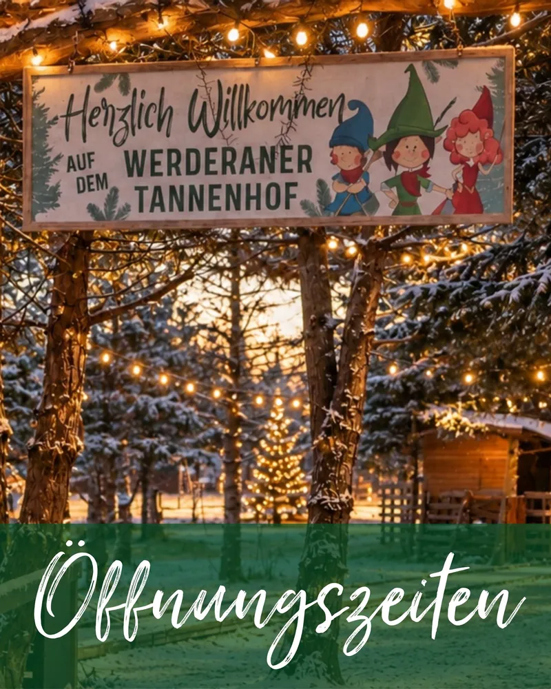 Unsere Verkaufsplätze für Weihnachtsbäume