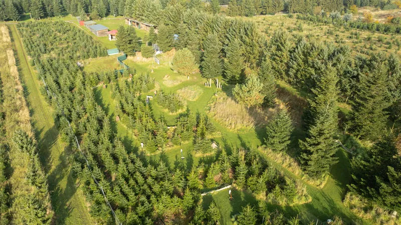 Luftbild der Tannenplantage des Werderaner Tannenhofs