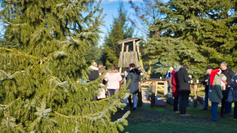 Gäste am Eingang zur Weihnachtsbaumplantage