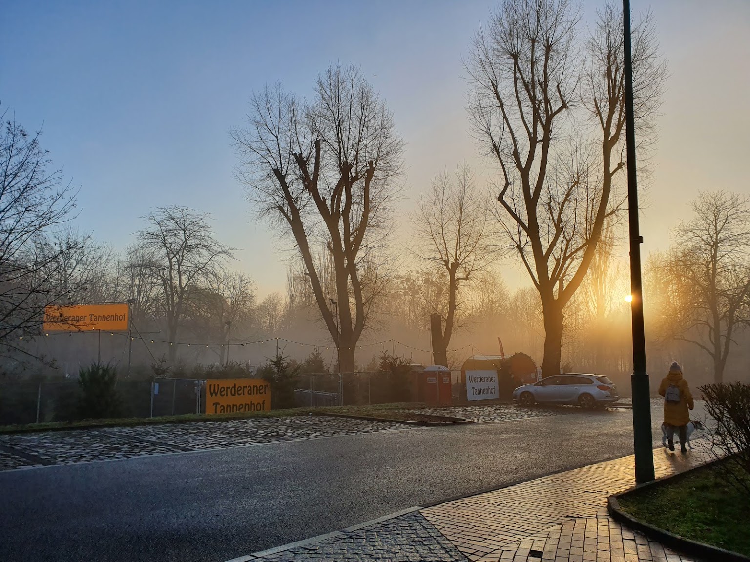 Berlin / Zehlendorf / Wiesenschlag