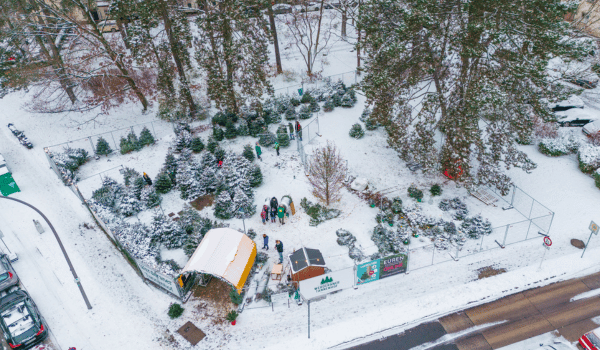 Berlin/Zehlendorf/Selmaplatz