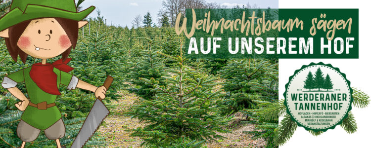 Weihnachtsbaum selber schlagen - Werderaner Tannenhof