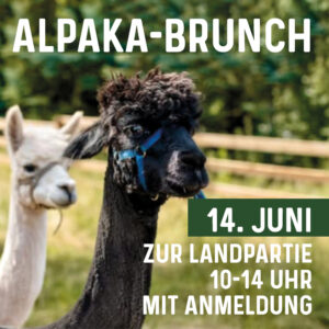 Alpakabrunch_Tannenhof_2026_01